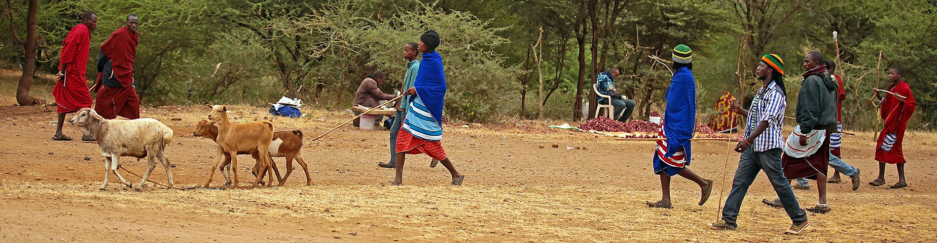 Tansania – Juni 2015